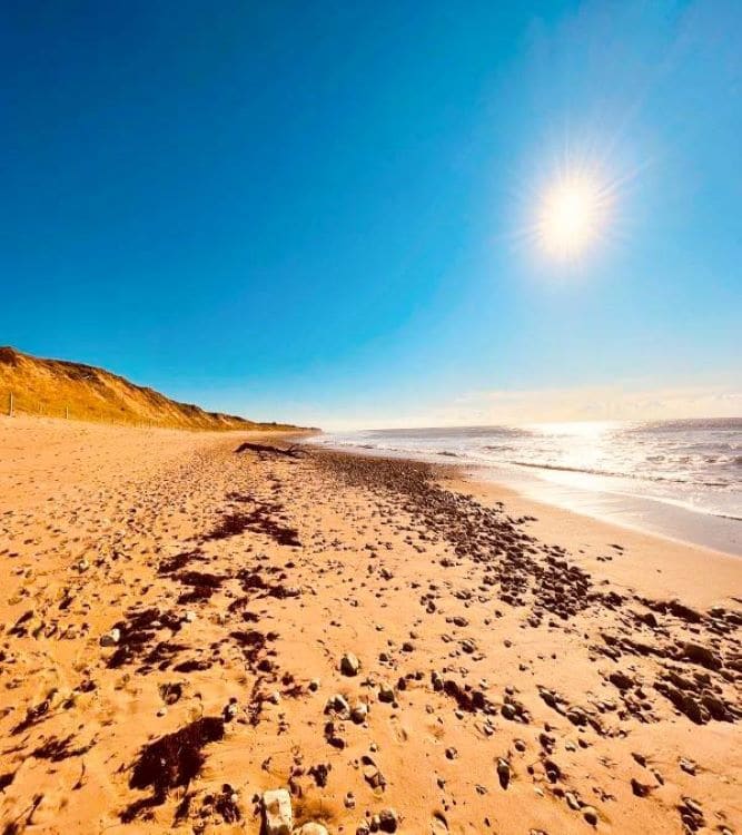 Het strand van Les Grenettes op het Ile de Ré vlakbij de villa te huur aan zee