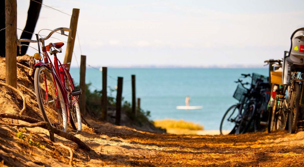 cycling to the beach on the Île de Ré