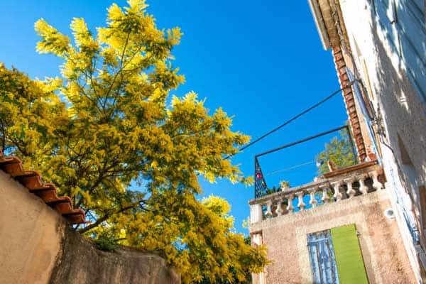 Centro di Hyères