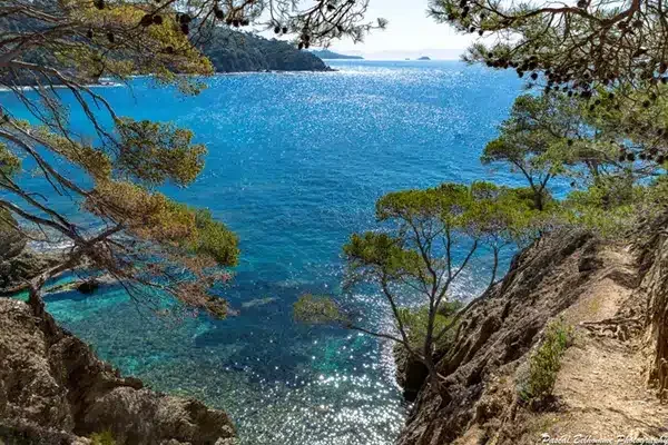 location-villa-de-luxe-cote-d-azur-sea-and-mountain-pleasure