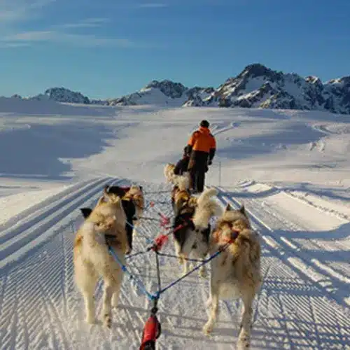 Wanderung mit Schlittenhunden in L'Alpe d'Huez